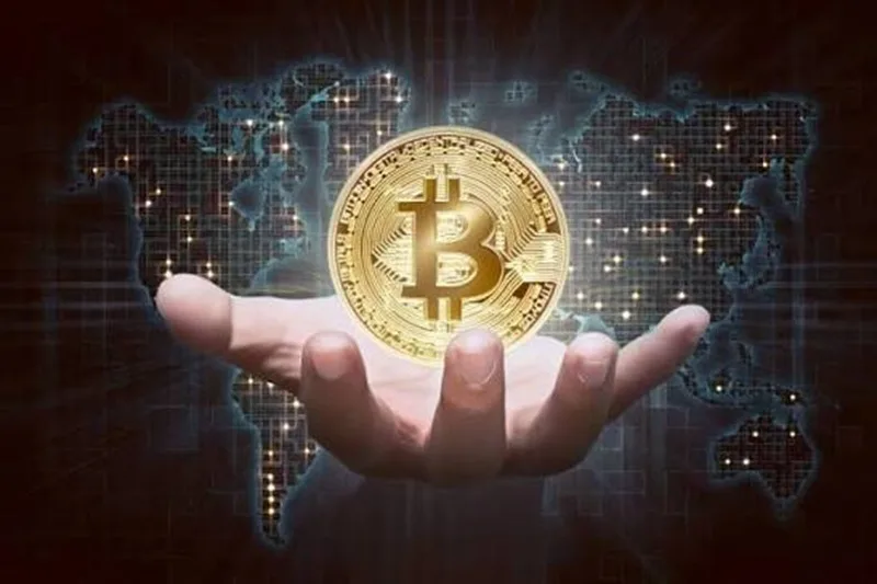 Chiến lược phân bổ vốn thông minh vào các đồng coin top và mid-cap để tối ưu lợi nhuận.